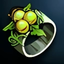 Earth Ring