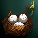 Bird Nest