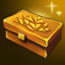Fortune Brooch