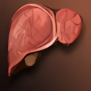 Zombie's Liver