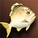 Yellow Fat Fish