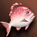 Small Red Fat Fish