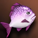 Purple Fat Fish - Upper Grade