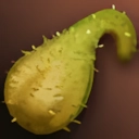 Mature Desert Codran