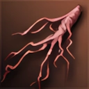 Mandragora Root
