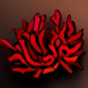 Red Coral