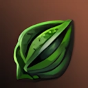 Nepenthes Seed