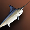 Fresh Blue Mackerel