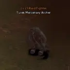 Turek Mercenary Archer