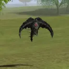 Atraiban's Disciple
