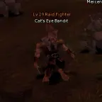 Cat's Eye Bandit