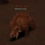 Renoa's Hog