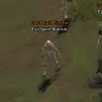 Evil Spirit Warrior