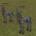 Rapini the Unicorn