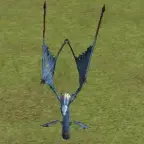Ateka's Shaman