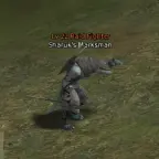 Sharuk's Marksman
