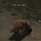 Freki's Wild Bear