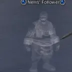 Nellis' Follower