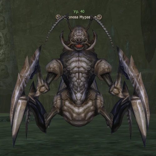 Queen Ant