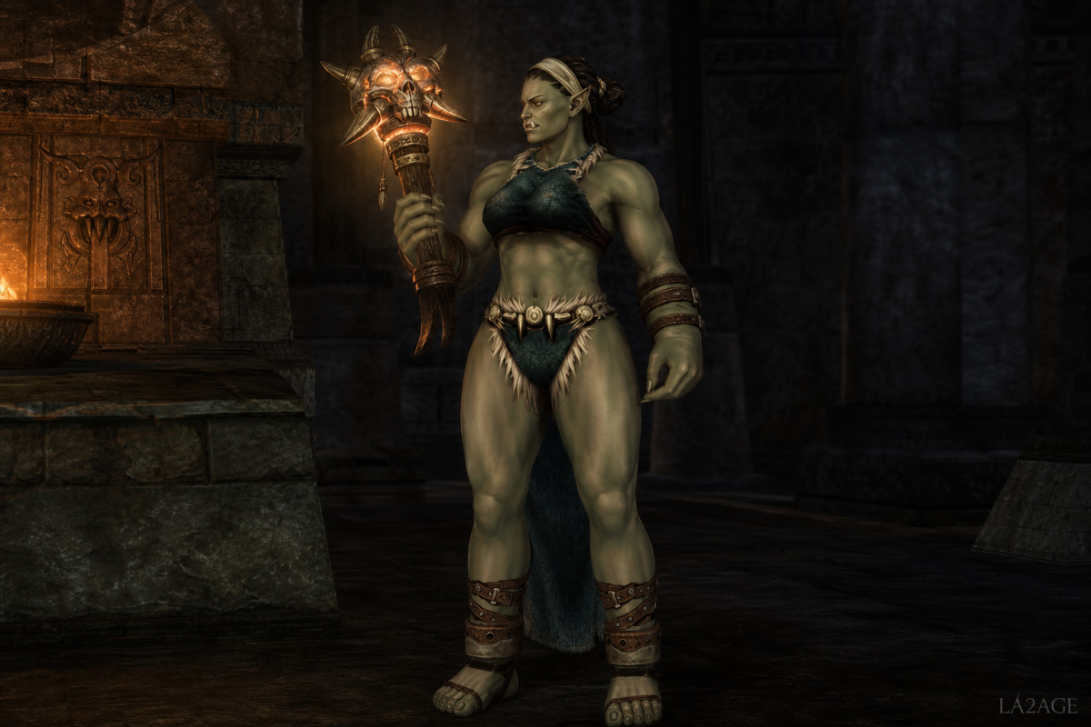 Путь Налетчика (Path of the Orc Raider) — 1 профа, 18+