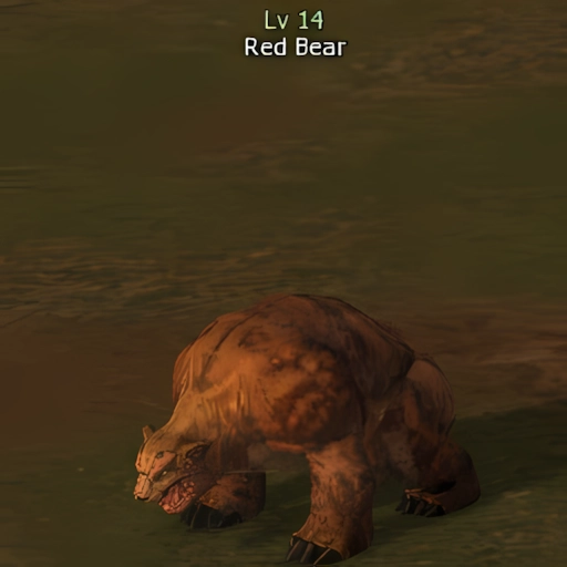Red Bear