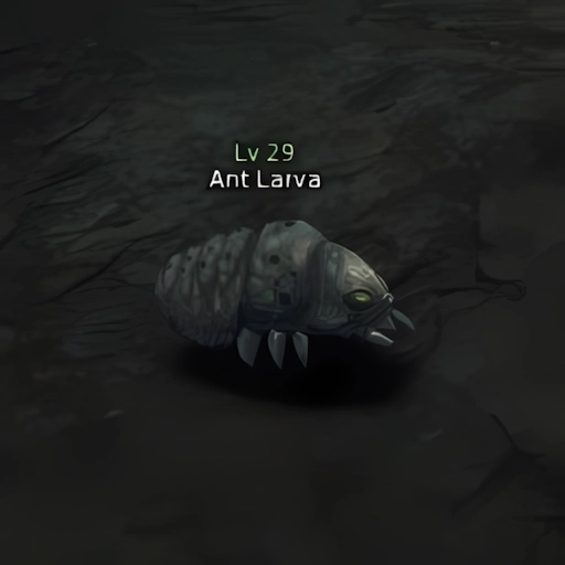 Ant Larva