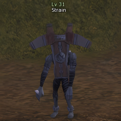 Strain