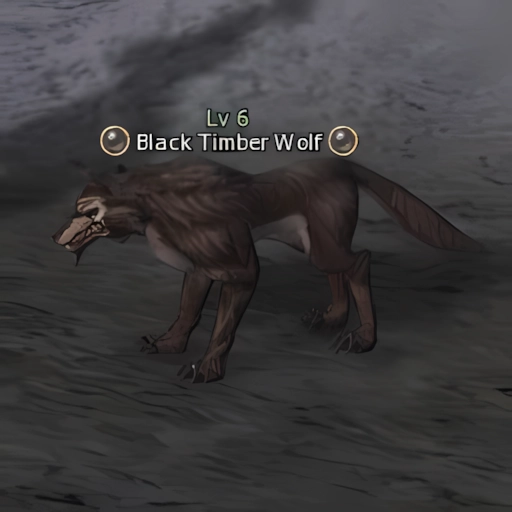 Black Timber Wolf