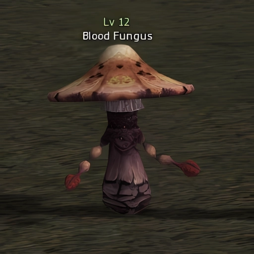 Blood Fungus
