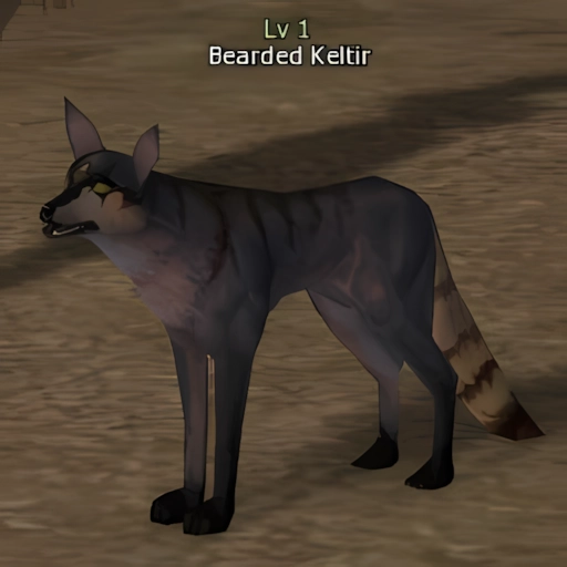 Bearded Keltir
