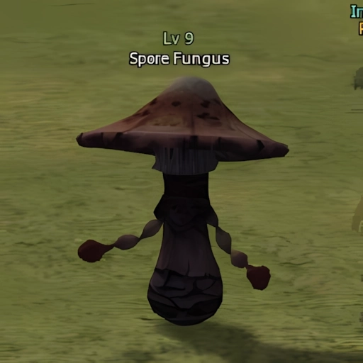 Spore Fungus