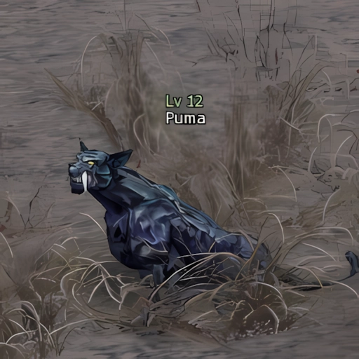 Puma