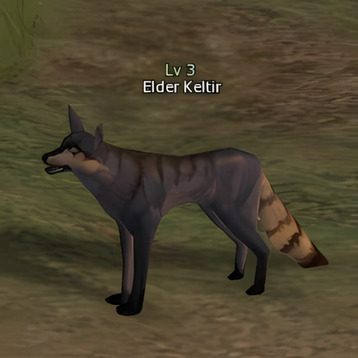 Elder Keltir