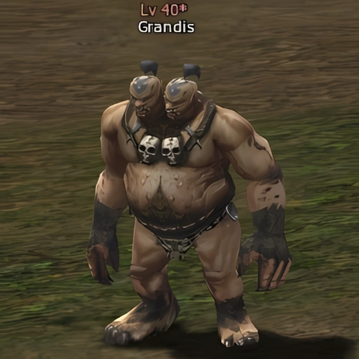 Grandis