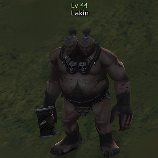 Lakin