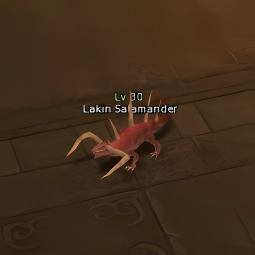 Lakin Salamander
