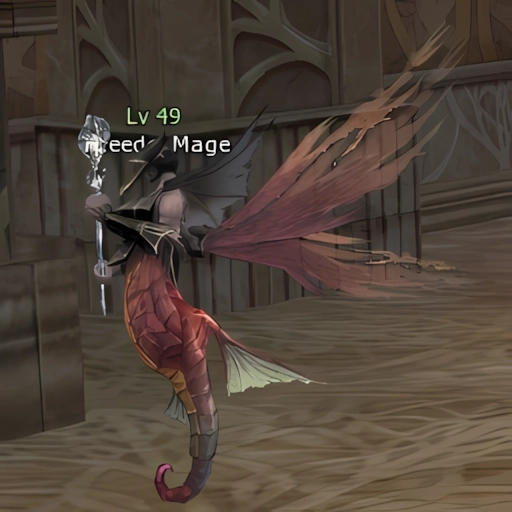 Theeder Mage