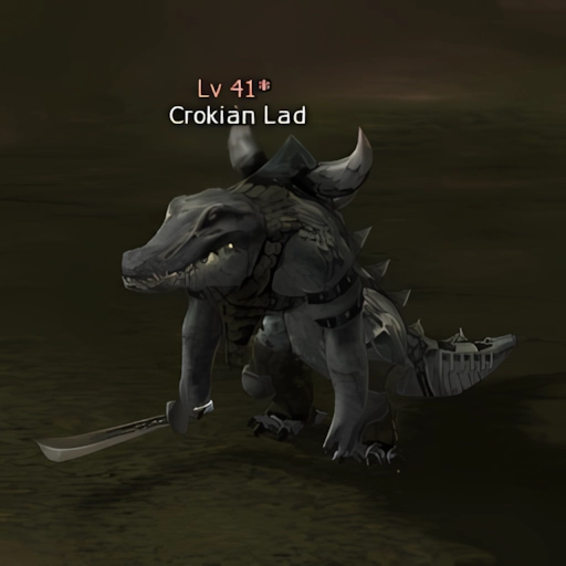 Crokian Lad