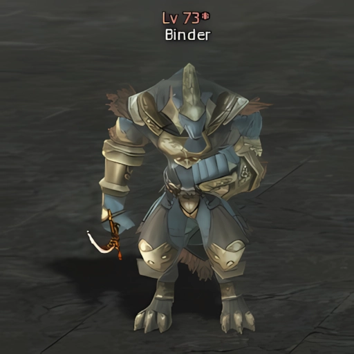 Binder