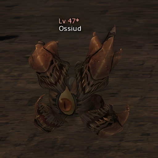 Ossiud