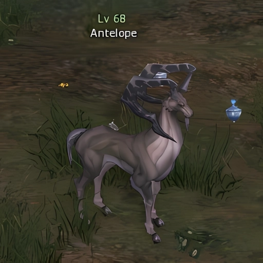 Antelope
