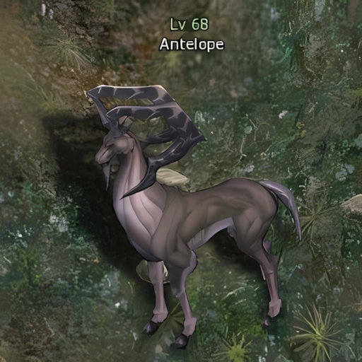 Antelope