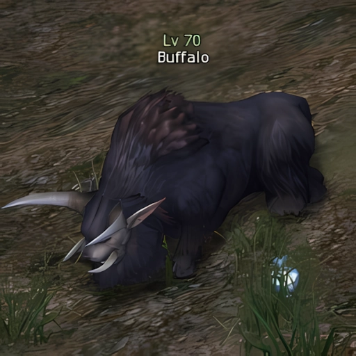 Buffalo