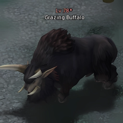 Grazing Buffalo