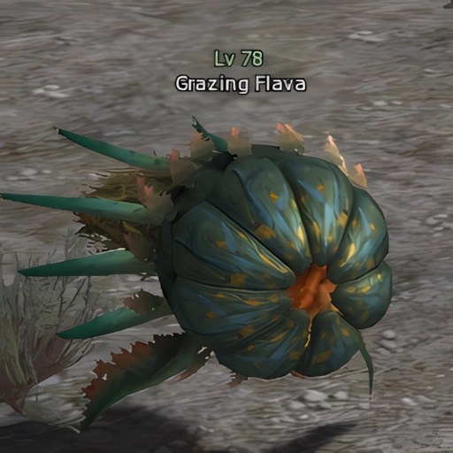 Grazing Flava
