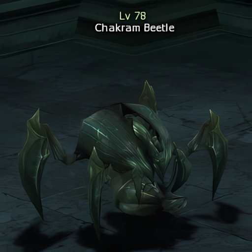 Chakram Beetle