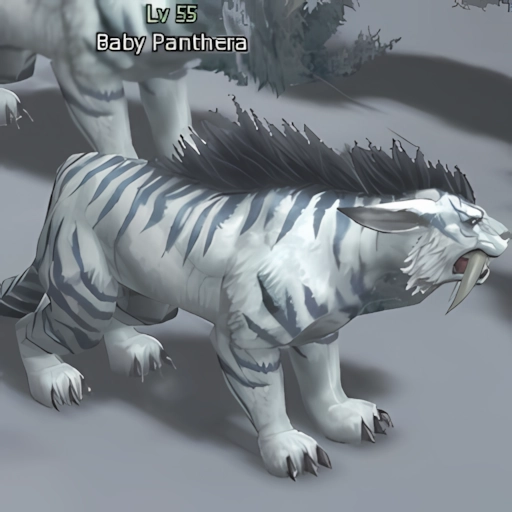 Baby Panthera