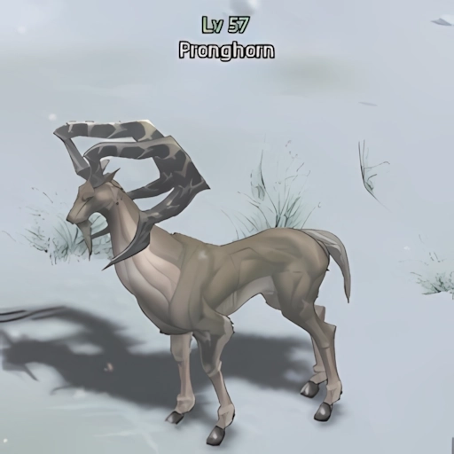 Pronghorn