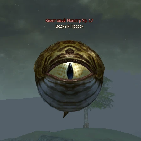 Water Seer