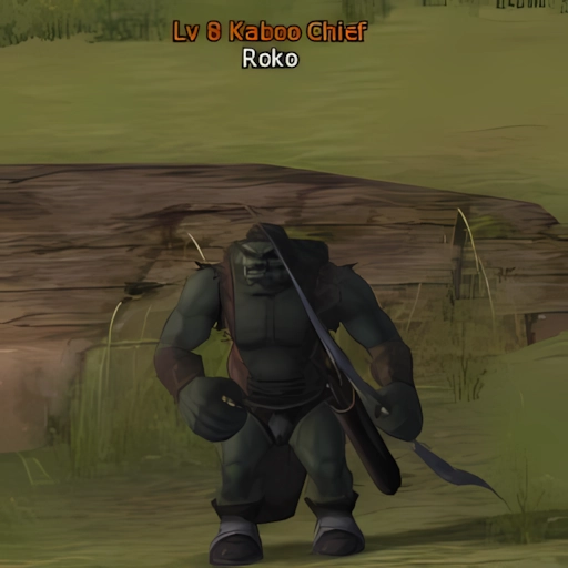 Roko